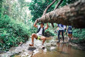 BIB: 
                            <button type="button" onclick="openModal(25375076)" class="btn btn-primary btn-sm float-right btn-popup" data-toggle="modal" data-target=".modal-high-quality">
                        <i class="fas fa-shopping-cart"></i> Add to Cart
                    </button>
                                            <button type="button" onclick="isThisMe(25375076, true)" class="btn btn-success btn-sm float-right btn-popup btn-isme hidden" data-toggle="tooltip" data-placement="bottom" title="นี่คือรูปของคุณใช่ไหม คลิกที่นี่เพื่อเอาเข้าอัลบั้ม">
                        <i class="fas fa-plus"></i> Add to album
                    </button>
                    <button type="button" onclick="isThisMe(25375076, false)" class="btn btn-warning btn-sm float-right btn-popup btn-isnotme hidden">
                        <i class="fas fa-ban"></i> Remove from album
                    </button>